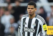 نتيجة آخر مباراة بين نيوكاسل وولفرهامبتون