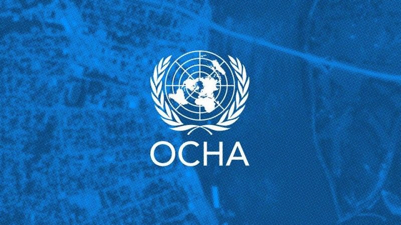 نزوح 1,228 أسرة من حضرموت إلى مأرب