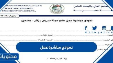 نموذج مباشرة عمل