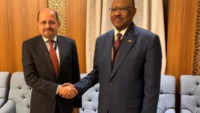 وزير الخارجية يبحث مع نظيره السوداني تعزيز التنسيق والتعاون المشترك