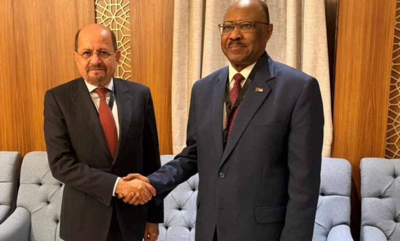 وزير الخارجية يبحث مع نظيره السوداني تعزيز التنسيق والتعاون المشترك