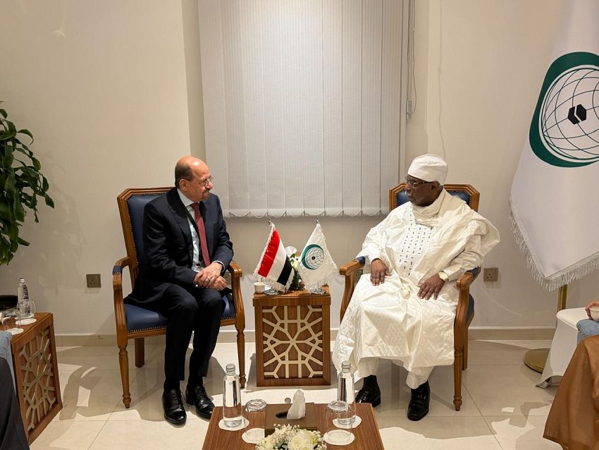 وزير الخارجية يلتقي الأمين العام لمنظمة التعاون الإسلامي