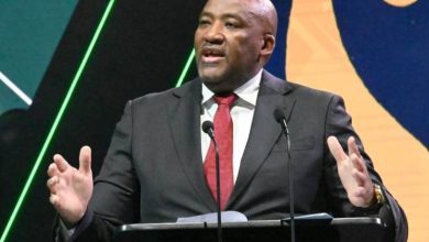 غايتون ماكنزي