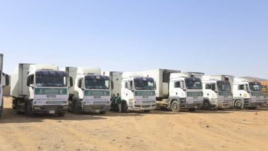 وصول 20 شاحنة إغاثية مقدمة من مركز الملك سلمان للإغاثة إلى مديرية العبر بحضرموت