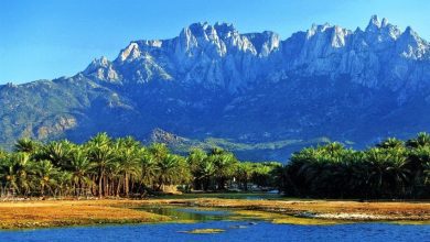 ‏اليونسكو أرسلت بعثة رقابة إلى سقطرى بعد تقارير عن انتهاكات لمعاهدة حماية التراث العالمي