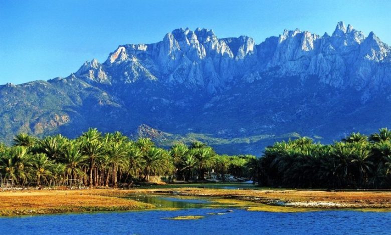 ‏اليونسكو أرسلت بعثة رقابة إلى سقطرى بعد تقارير عن انتهاكات لمعاهدة حماية التراث العالمي