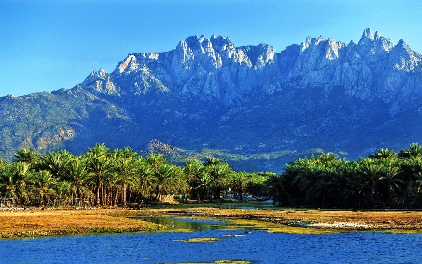 ‏اليونسكو أرسلت بعثة رقابة إلى سقطرى بعد تقارير عن انتهاكات لمعاهدة حماية التراث العالمي