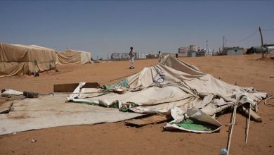 أكثر من ألفي أسرة نازحة تضررت جراء الأمطار والعواصف في مأرب