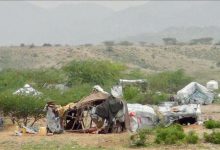 ارتفاع أعداد النازحين في اليمن إلى 5.2 مليون شخص