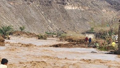 ارتفاع ضحايا السيول في المخا وموزع إلى 14 وفاة وسط أضرار واسعة