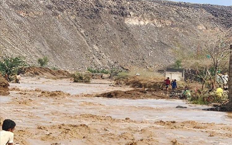 ارتفاع ضحايا السيول في المخا وموزع إلى 14 وفاة وسط أضرار واسعة