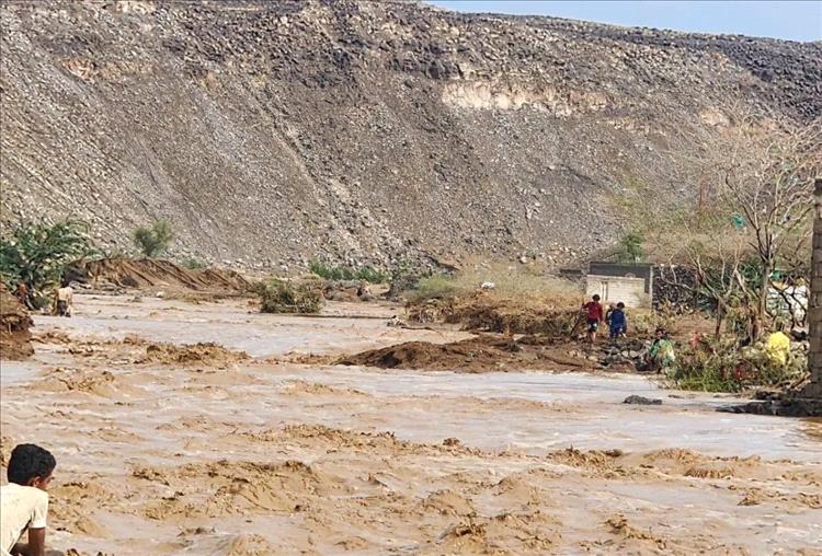 ارتفاع ضحايا السيول في المخا وموزع إلى 14 وفاة وسط أضرار واسعة