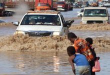 الأمم المتحدة: فيضانات متوقعة تهدد الزراعة والثروة الحيوانية في اليمن