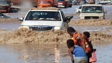 الأمم المتحدة: فيضانات متوقعة تهدد الزراعة والثروة الحيوانية في اليمن