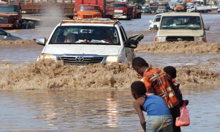 الأمم المتحدة: فيضانات متوقعة تهدد الزراعة والثروة الحيوانية في اليمن