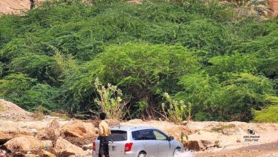 السلطة المحلية في شبوة تتجه لإنشاء سدود وحواجز مائية لحصاد الأمطار بعد أضرار السيول