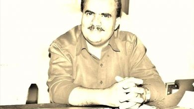 السنيدي: الجدل حول الصبيحي لا يستند إلى قانون.. ورفع العلم مسألة سيادية