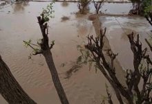 الشوافي: حالة ماطرة جديدة تضرب اليمن خلال الأيام القادمة وهذه أبرز التوقعات