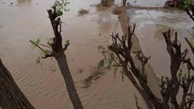 الشوافي: حالة ماطرة جديدة تضرب اليمن خلال الأيام القادمة وهذه أبرز التوقعات