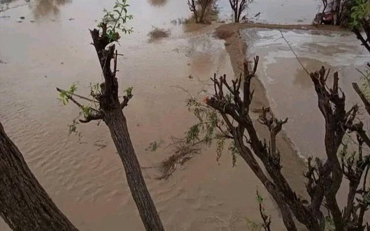 الشوافي: حالة ماطرة جديدة تضرب اليمن خلال الأيام القادمة وهذه أبرز التوقعات