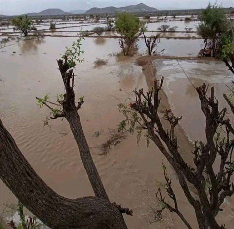 الشوافي: حالة ماطرة جديدة تضرب اليمن خلال الأيام القادمة وهذه أبرز التوقعات