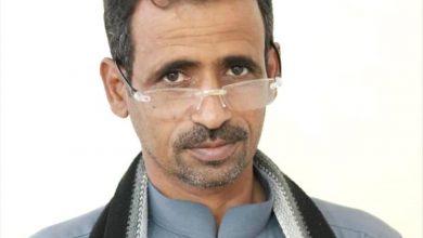 الصحفي عبدالعليم: السعودية أعادت هيبة القرار العربي