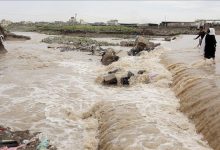 الفاو تحذر: فيضانات تهدد 400 ألف هكتار من الأراضي الزراعية وملايين الماشية في اليمن