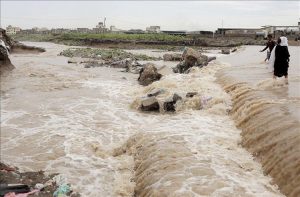 الفاو تحذر: فيضانات تهدد 400 ألف هكتار من الأراضي الزراعية وملايين الماشية في اليمن