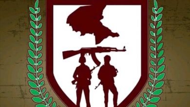 اللواء السادس دفاع شبوة يُسقط طائرة مسيّرة حـ.ـوثية إيـ.ـرانية الصنع أثناء مهمة عدائية