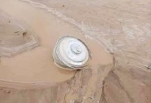 المرصد اليمني للألغام يفكك 21 لغمًا وعبوة ناسفة في تعز والحديدة