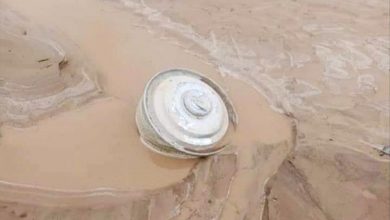 المرصد اليمني للألغام يفكك 21 لغمًا وعبوة ناسفة في تعز والحديدة