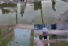 بتوجيهات مدير عام عتق.. إدارة صحة البيئة تنفذ حملة رش (رذاذي) عقب هطول الأمطار الأخيرة