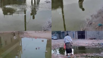 بتوجيهات مدير عام عتق.. إدارة صحة البيئة تنفذ حملة رش (رذاذي) عقب هطول الأمطار الأخيرة