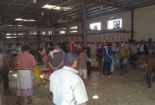 بن عطاف لعدن الغد: هدفنا من تخفيض أسعار اللحوم في سوق المواشي هو التخفيف على ذوي الدخل المحدود