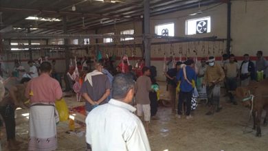 بن عطاف لعدن الغد: هدفنا من تخفيض أسعار اللحوم في سوق المواشي هو التخفيف على ذوي الدخل المحدود