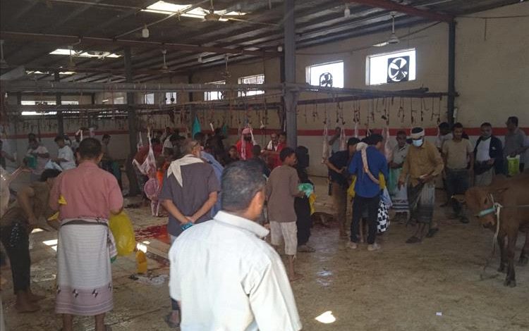 بن عطاف لعدن الغد: هدفنا من تخفيض أسعار اللحوم في سوق المواشي هو التخفيف على ذوي الدخل المحدود