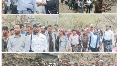 تحكيم قبلي ينهي خلاف بين قبيلتي آل دبب الفرجي وآل الصبيحي الناخبي بسباح يافع