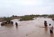 تضرر 1370 أسرة نازحة في الجوف جراء المنخفض الجوي والعواصف