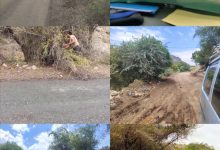 تواصل حملة تقليم الاشجار ورفع العوائق والمخلفات من الخط العام بالمسيمير