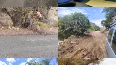 تواصل حملة تقليم الاشجار ورفع العوائق والمخلفات من الخط العام بالمسيمير