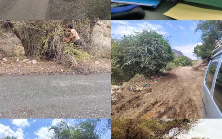 تواصل حملة تقليم الاشجار ورفع العوائق والمخلفات من الخط العام بالمسيمير