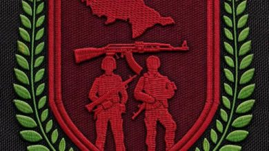 دفاع شبوة ومحور سبأ يعلنان فرض صلح قبلي شامل في عين وحريب لمدة عام كامل