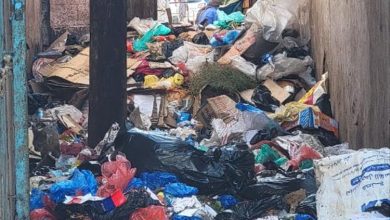 سوق السمك بالشيخ عثمان يغرق في القمامة.. مشهد مقلق يهدد الصحة العامة