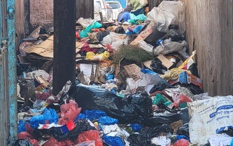 سوق السمك بالشيخ عثمان يغرق في القمامة.. مشهد مقلق يهدد الصحة العامة