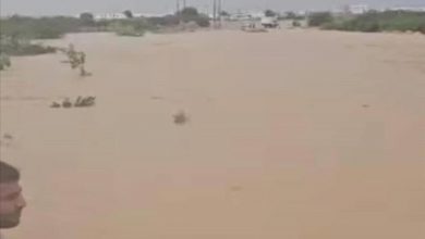 سيول جارفة تقطع خط حضرموت – المهرة في الشحر وتوقف حركة السير