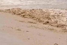 سيول مفاجئة تقطع الطريق الدولي في شقرة وتوقف حركة المركبات