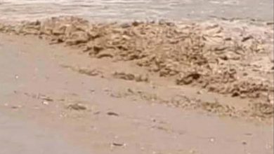 سيول مفاجئة تقطع الطريق الدولي في شقرة وتوقف حركة المركبات