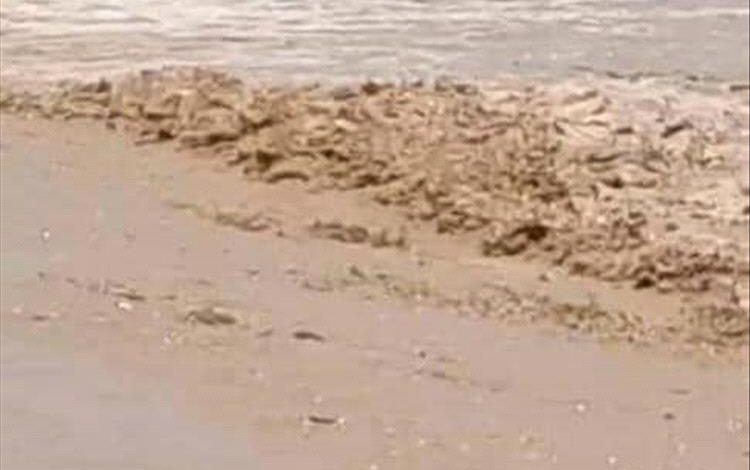 سيول مفاجئة تقطع الطريق الدولي في شقرة وتوقف حركة المركبات