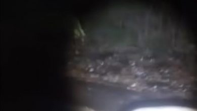 عاجل : سيول مفاجئة تتجه نحو لحج وعدن… وتحذيرات للسكان في مسار الأودية