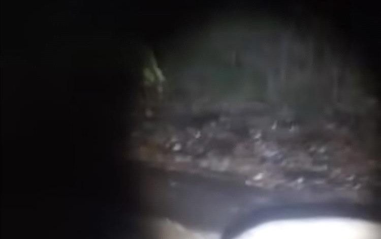 عاجل : سيول مفاجئة تتجه نحو لحج وعدن… وتحذيرات للسكان في مسار الأودية